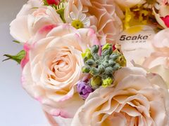 -5Cake五度无蔗糖低脂蛋糕(陶然亭店)