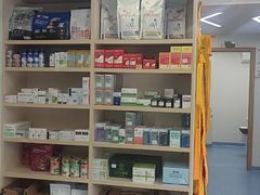 -博特宠物医院24h犬猫全科.骨科·异宠