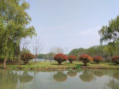 -西安浐灞国家湿地公园