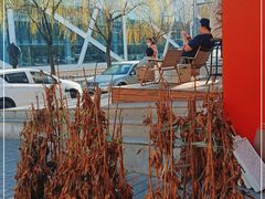 -Catch Bagel(芳草地店)