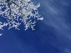 -中旅松花湖滑雪场