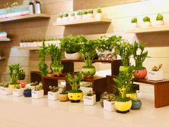 -海口绿发希尔顿酒店-田园汇自助餐·三文鱼·海鲜