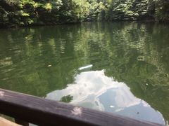 -周洛大峡谷