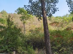 -蟠龙山长城景区