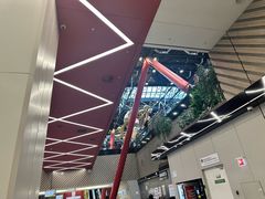 -谢列梅捷沃国际机场
