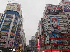 -秋叶原电器街