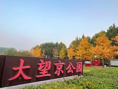 -大望京公园