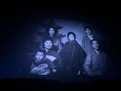 -临泉大地影城(大润发店)