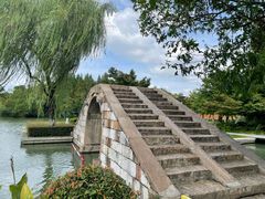-青枫公园