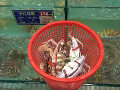 -琼菜王(南海店)
