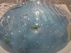 -哈尔滨工业大学-博物馆