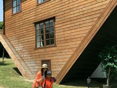 -金山农民画村-枫泾波兰倒置屋