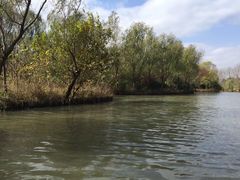 -溱湖国家湿地公园