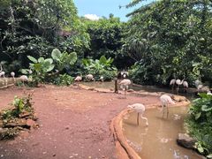 -海南热带野生动植物园