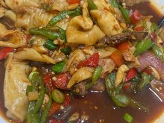 -全乐鱼馆·淳牌有机鱼直营店