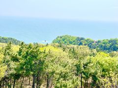 -燕窝岭