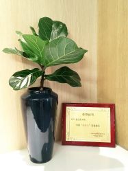 -西安伊美尔医疗美容医院