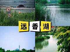 -上海山野camping·户外天幕烧烤·团建拓展营地
