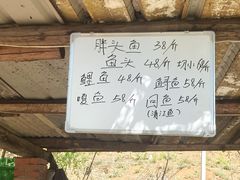 -姥家大锅台水库渔家