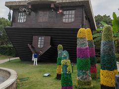 -金山农民画村-枫泾波兰倒置屋