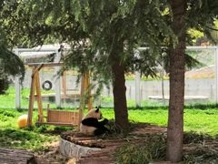 -西安秦岭野生动物园