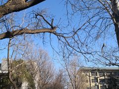 -山东师范大学(千佛山校区)