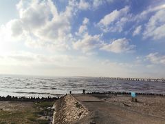 -南汇新城海滩