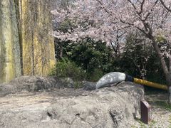 -淹城春秋乐园