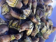 -舌尖上·霞浦滩涂海鲜·新闽菜(总店)