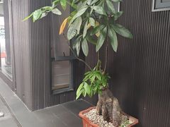 -阿伟海鲜楼·福建菜(涵江店)