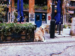 -飞马旅黎黄陂路文旅街区
