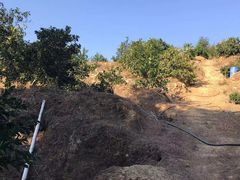 -江西阳明山国家森林公园