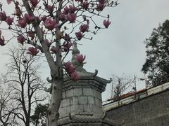 -长春观