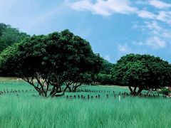 -红花山公园
