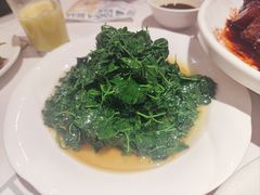 -宏玲餐厅(四川南路店)