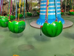 -南宫五洲植物乐园