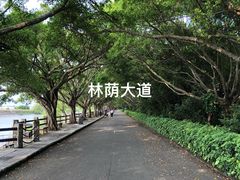 -大湾区中央湿地公园