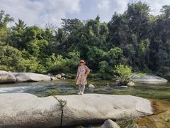 -海南热带雨林国家公园吊罗山景区