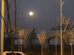 -奇帕波·披萨&炸鸡(诺和木勒站店)
