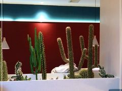 -悦海·家宴·冰花皮皮虾大锅贴(宝龙店)