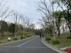 -牛岗山公园