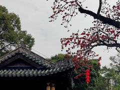 -南海神庙