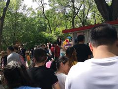 -哈尔滨文化公园