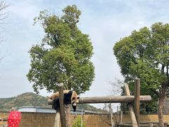 -杭州野生动物世界
