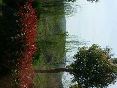 android_upload_pic-天目湖涵田度假村