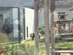 -无锡动物园·太湖欢乐园