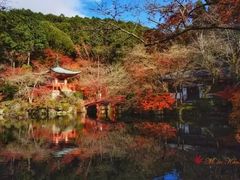 -醍醐寺