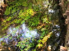 -水磨沟公园