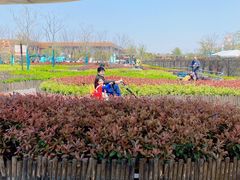 -季高兔窝窝亲子园(上海薰衣草公园店)