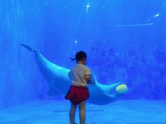 -华夏文旅海洋公园